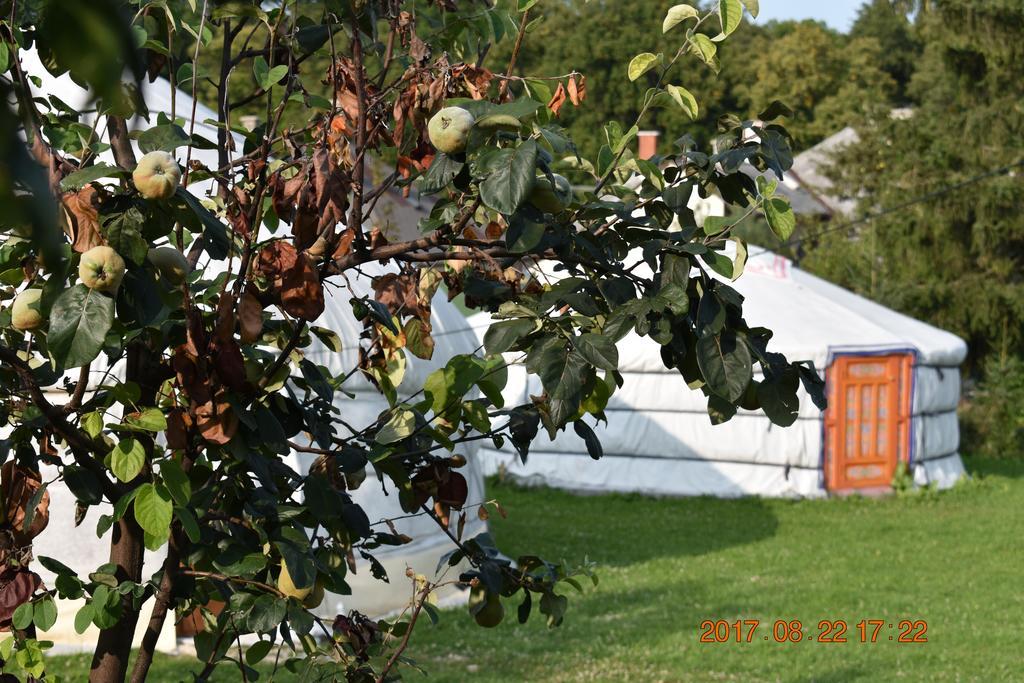 Bagolyvár Fogadó- Újfalusy Márton Vendégház Zirc Exterior foto